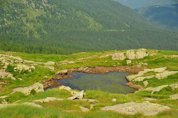 escursione passo Rolle, Tognazza, Cavallazza, laghi al Colbricon