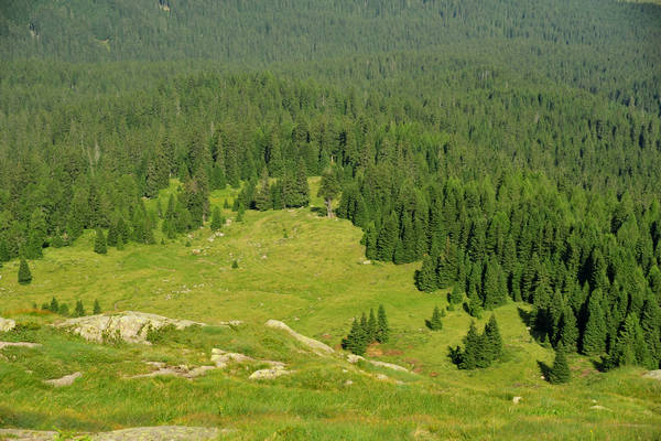escursione passo Rolle, Tognazza, Cavallazza, laghi al Colbricon