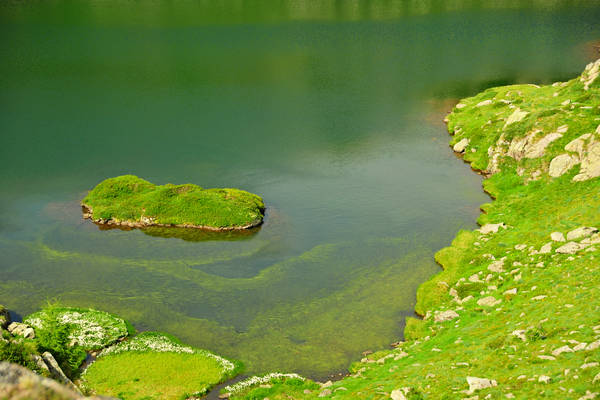 escursione passo Rolle, Tognazza, Cavallazza, laghi al Colbricon