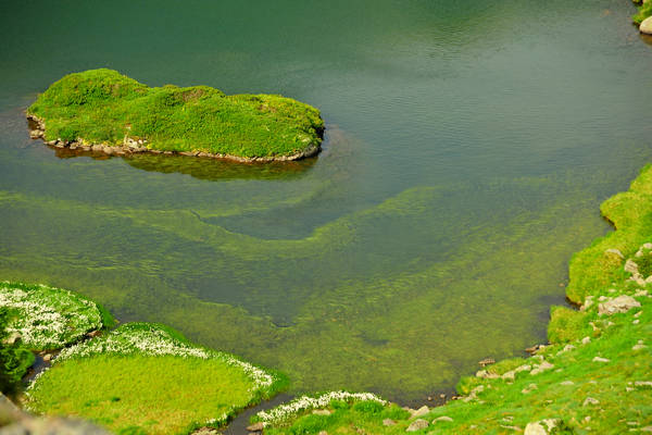 escursione passo Rolle, Tognazza, Cavallazza, laghi al Colbricon