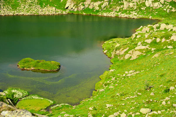escursione passo Rolle, Tognazza, Cavallazza, laghi al Colbricon