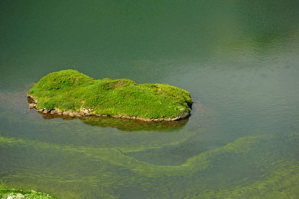 escursione passo Rolle, Tognazza, Cavallazza, laghi al Colbricon