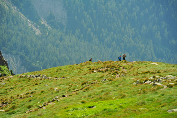 escursione passo Rolle, Tognazza, Cavallazza, laghi al Colbricon