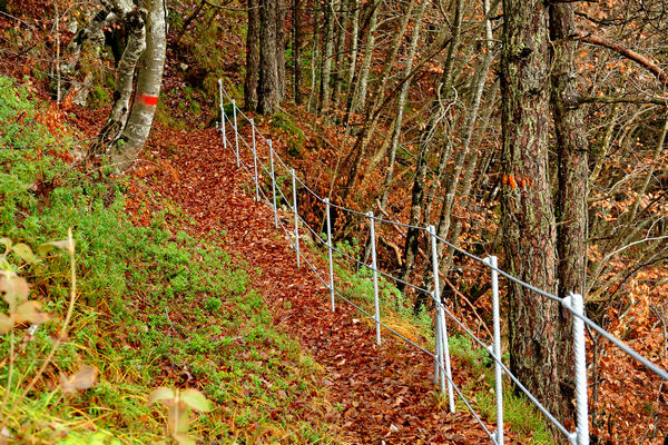 escursione alla Chiesetta di San Silvestro dal passo Gobbera sul monte Totoga