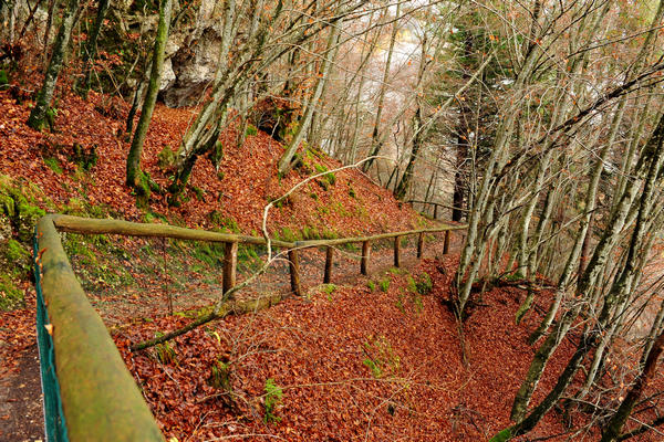 escursione alla Chiesetta di San Silvestro dal passo Gobbera sul monte Totoga