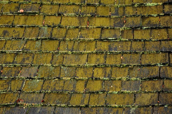 escursione alla Chiesetta di San Silvestro dal passo Gobbera sul monte Totoga