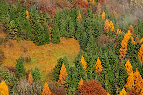 escursione alla Chiesetta di San Silvestro dal passo Gobbera sul monte Totoga