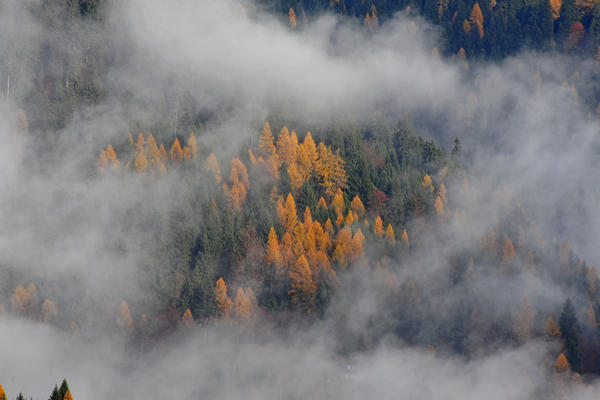 escursione alla Chiesetta di San Silvestro dal passo Gobbera sul monte Totoga