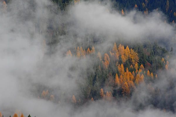 escursione alla Chiesetta di San Silvestro dal passo Gobbera sul monte Totoga