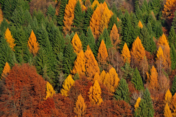 escursione alla Chiesetta di San Silvestro dal passo Gobbera sul monte Totoga