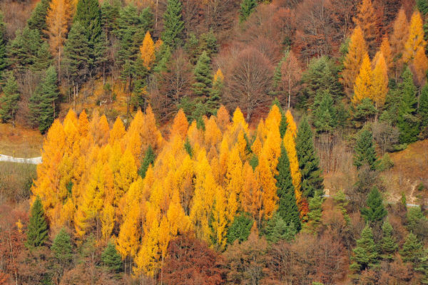 escursione alla Chiesetta di San Silvestro dal passo Gobbera sul monte Totoga