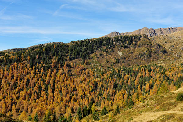 Col Margherita, catena Lusia Bocche, passo Valles, Falcade