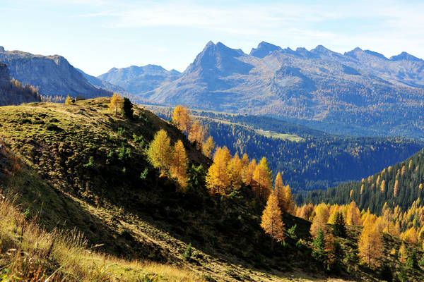 Col Margherita, catena Lusia Bocche, passo Valles, Falcade