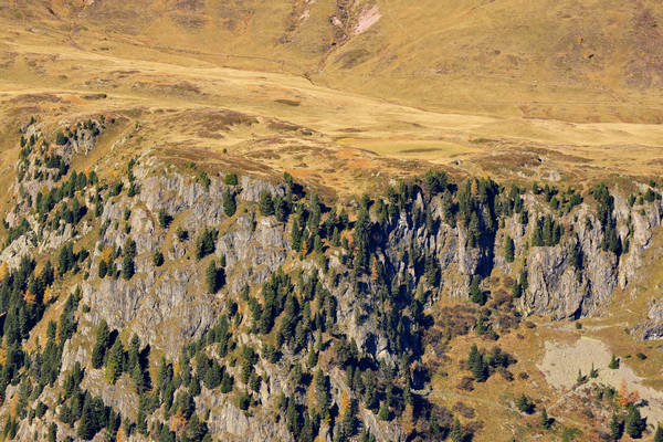 Col Margherita, catena Lusia Bocche, passo Valles, Falcade