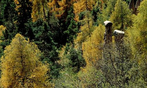 Piramidi di Segonzano, Val di Cembra