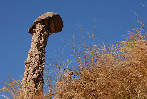 Piramidi di terra a Segonzano in Val Cembra