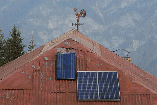 Picosta, Celado di Castel Tesino, Arina di Lamon