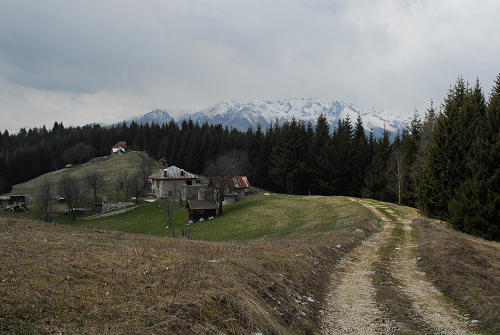 Picosta, Celado di Castel Tesino, Arina di Lamon