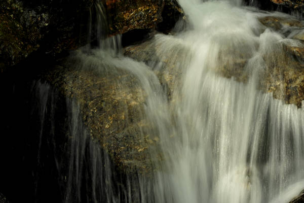 passeggiata Chiesetta Pront, val Regana, rif. R.Sordo, Refavaie