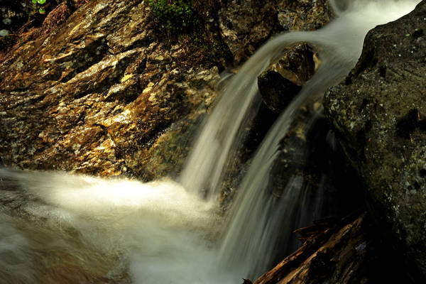 passeggiata Chiesetta Pront, val Regana, rif. R.Sordo, Refavaie
