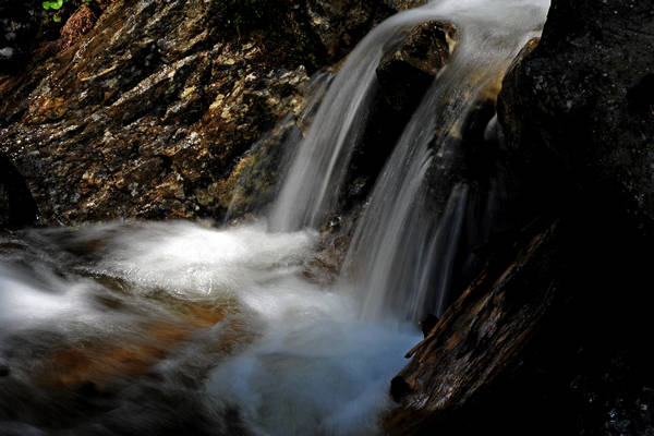 passeggiata Chiesetta Pront, val Regana, rif. R.Sordo, Refavaie