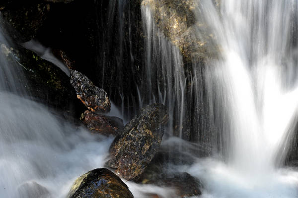 passeggiata Chiesetta Pront, val Regana, rif. R.Sordo, Refavaie