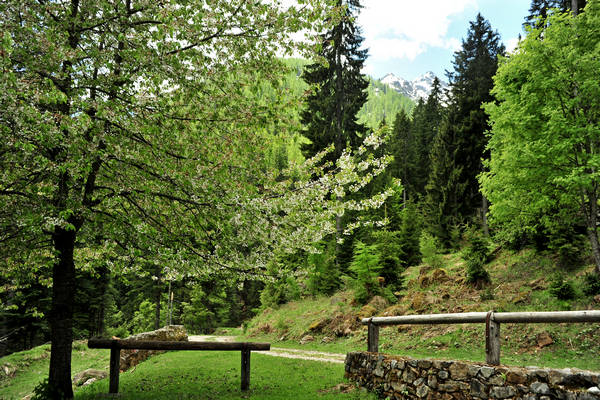 passeggiata Chiesetta Pront, val Regana, rif. R.Sordo, Refavaie