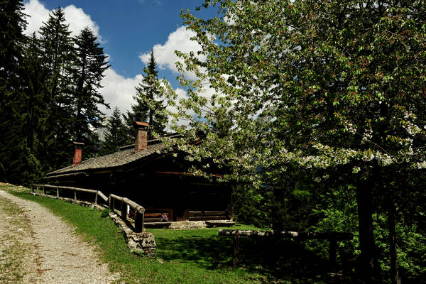 passeggiata Chiesetta Pront, val Regana, rif. R.Sordo, Refavaie
