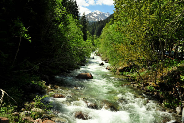 passeggiata Chiesetta Pront, val Regana, rif. R.Sordo, Refavaie