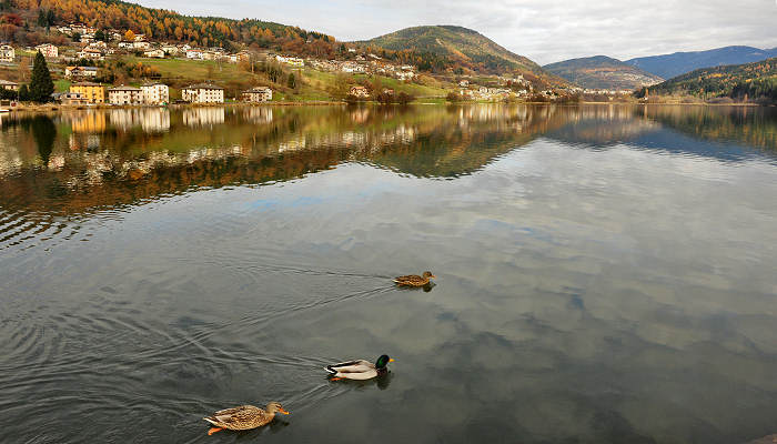 Altopiano di Piné, Lagorai
