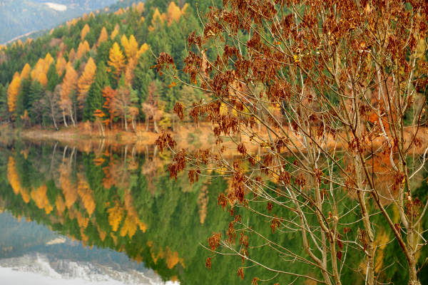 Altopiano di Piné, laghi Serraia e Piazze, Lagorai