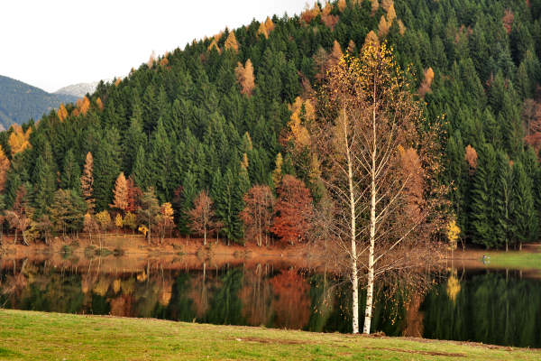 Altopiano di Piné, laghi Serraia e Piazze, Lagorai