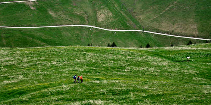 Sentiero dei Fiori al passo Brocon nei Lagorai