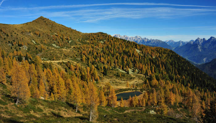 forcella Val Viosa, Lagorai zona passo Brocon