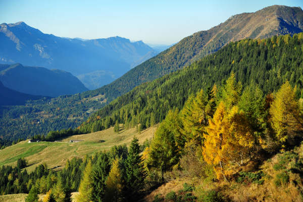 val Viosa, Palon Cavallara, Sternozzena, Orena Tolvà