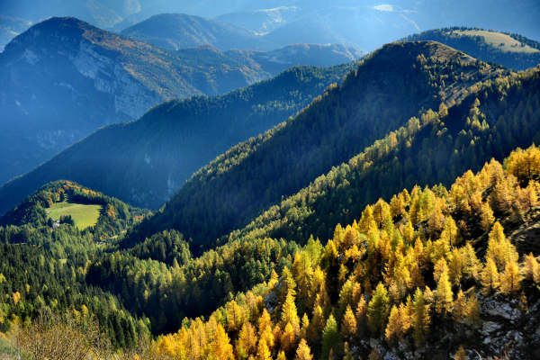 val Viosa, Palon Cavallara, Sternozzena, Orena Tolvà