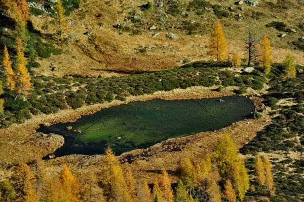 val Viosa, Palon Cavallara, Sternozzena, Orena Tolvà