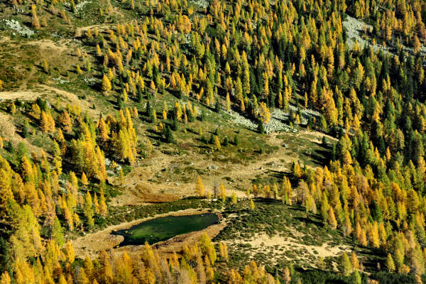 val Viosa, Palon Cavallara, Sternozzena, Orena Tolvà