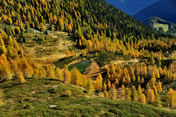 val Viosa, Palon Cavallara, Sternozzena, Orena Tolvà