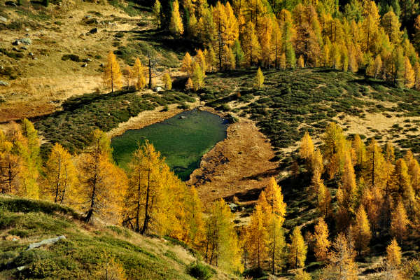 val Viosa, Palon Cavallara, Sternozzena, Orena Tolvà