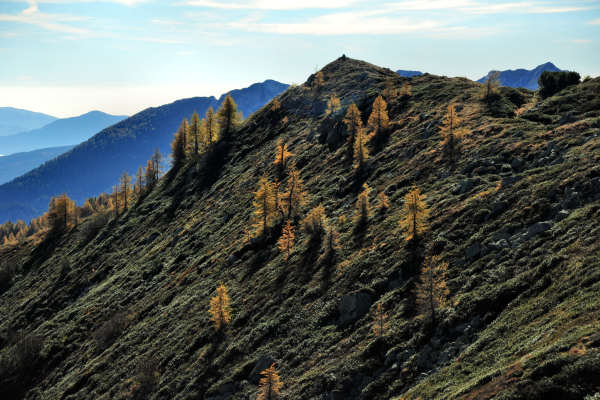 val Viosa, Palon Cavallara, Sternozzena, Orena Tolvà