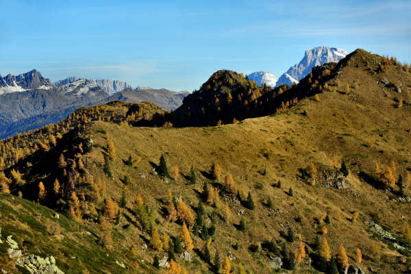 val Viosa, Palon Cavallara, Sternozzena, Orena Tolvà
