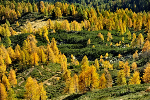 val Viosa, Palon Cavallara, Sternozzena, Orena Tolvà