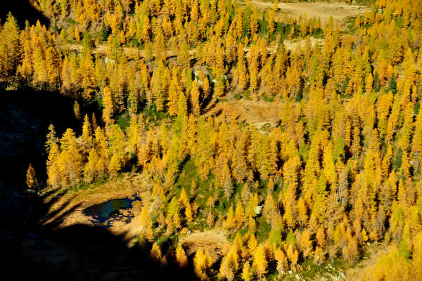 val Viosa, Palon Cavallara, Sternozzena, Orena Tolvà