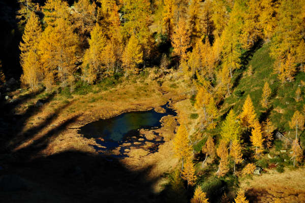 val Viosa, Palon Cavallara, Sternozzena, Orena Tolvà