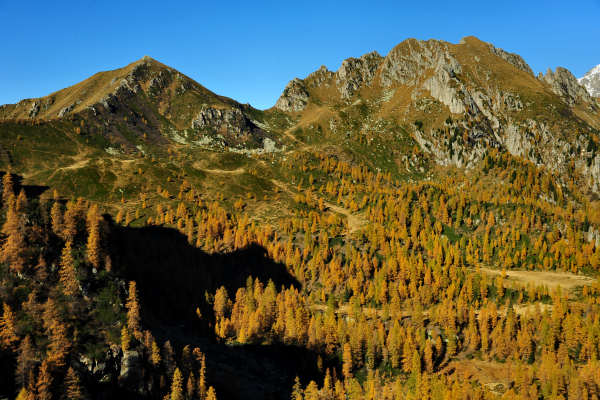 val Viosa, Palon Cavallara, Sternozzena, Orena Tolvà