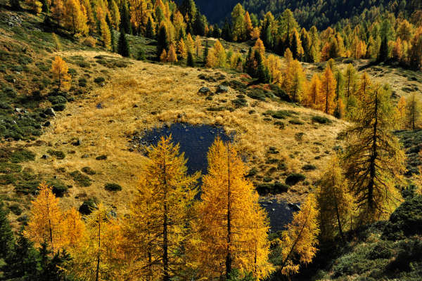 val Viosa, Palon Cavallara, Sternozzena, Orena Tolvà