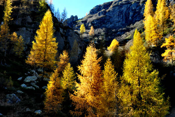 val Viosa, Palon Cavallara, Sternozzena, Orena Tolvà