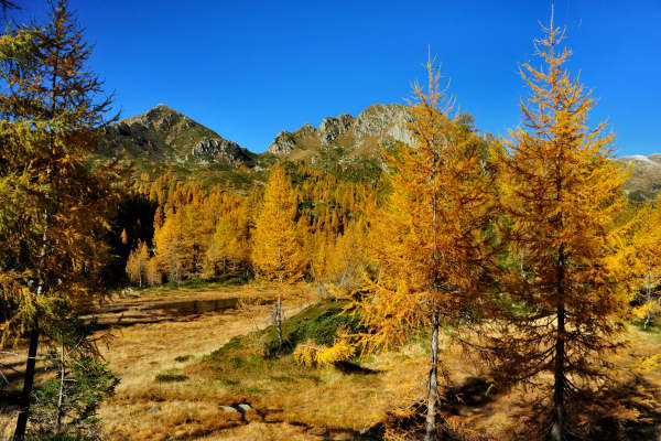 val Viosa, Palon Cavallara, Sternozzena, Orena Tolvà