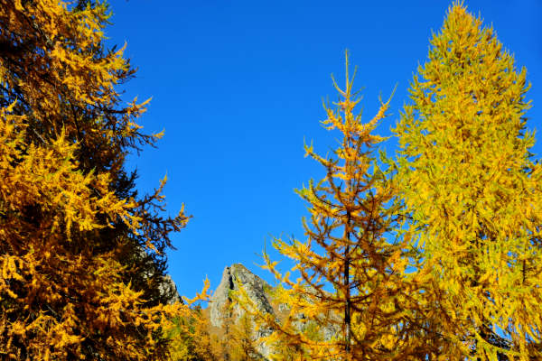 val Viosa, Palon Cavallara, Sternozzena, Orena Tolvà